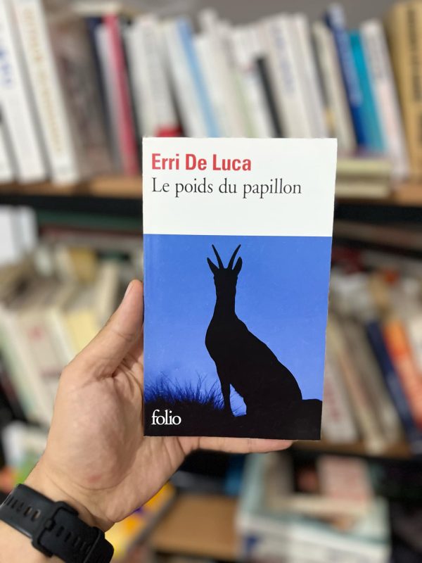Le poids du papillon de Erri De Luca