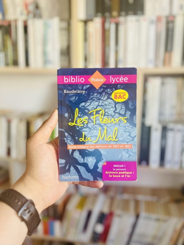 Les Fleurs du Mal – Charles Baudelaire