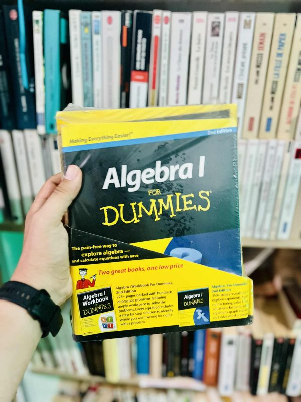Algebra I for Dummies including workbook – Mary Jane Sterling