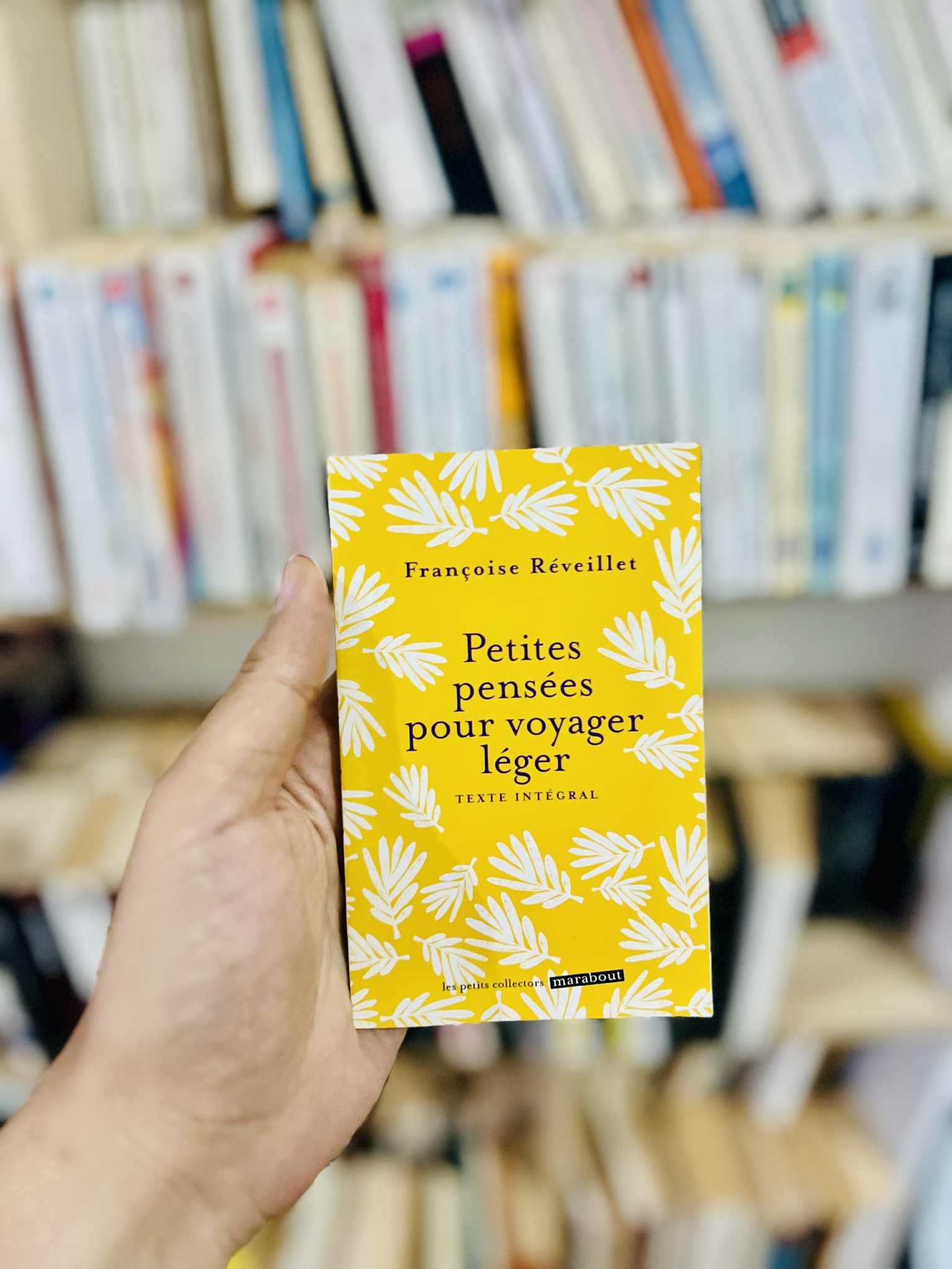 Petites pensées pour voyager léger – Françoise Réveillet