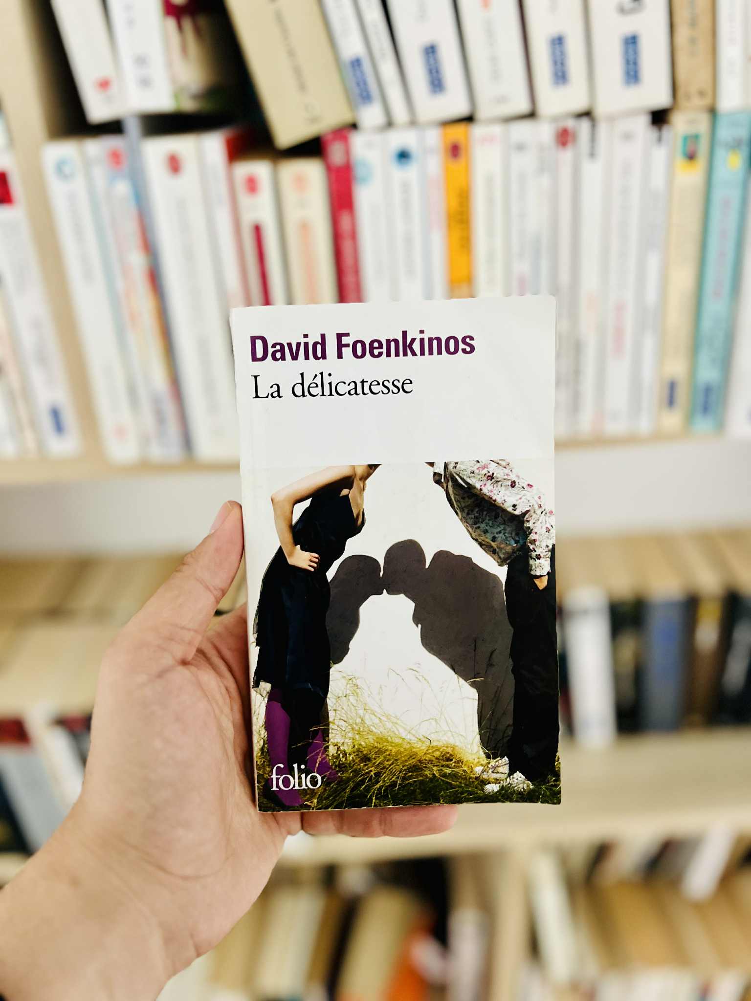 La délicatesse – David Foenkinos