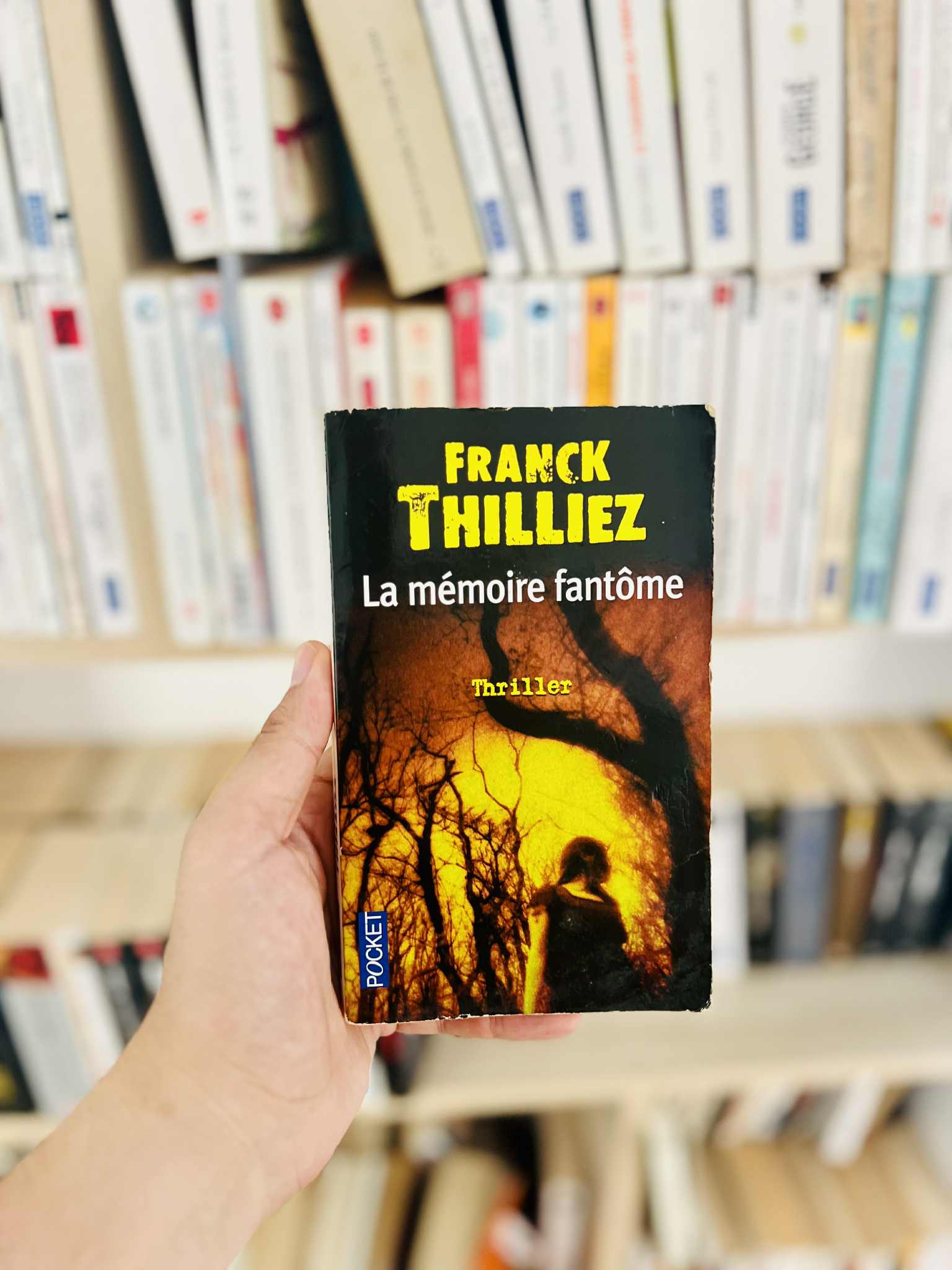 La Mémoire Fantôme – Franck Thilliez