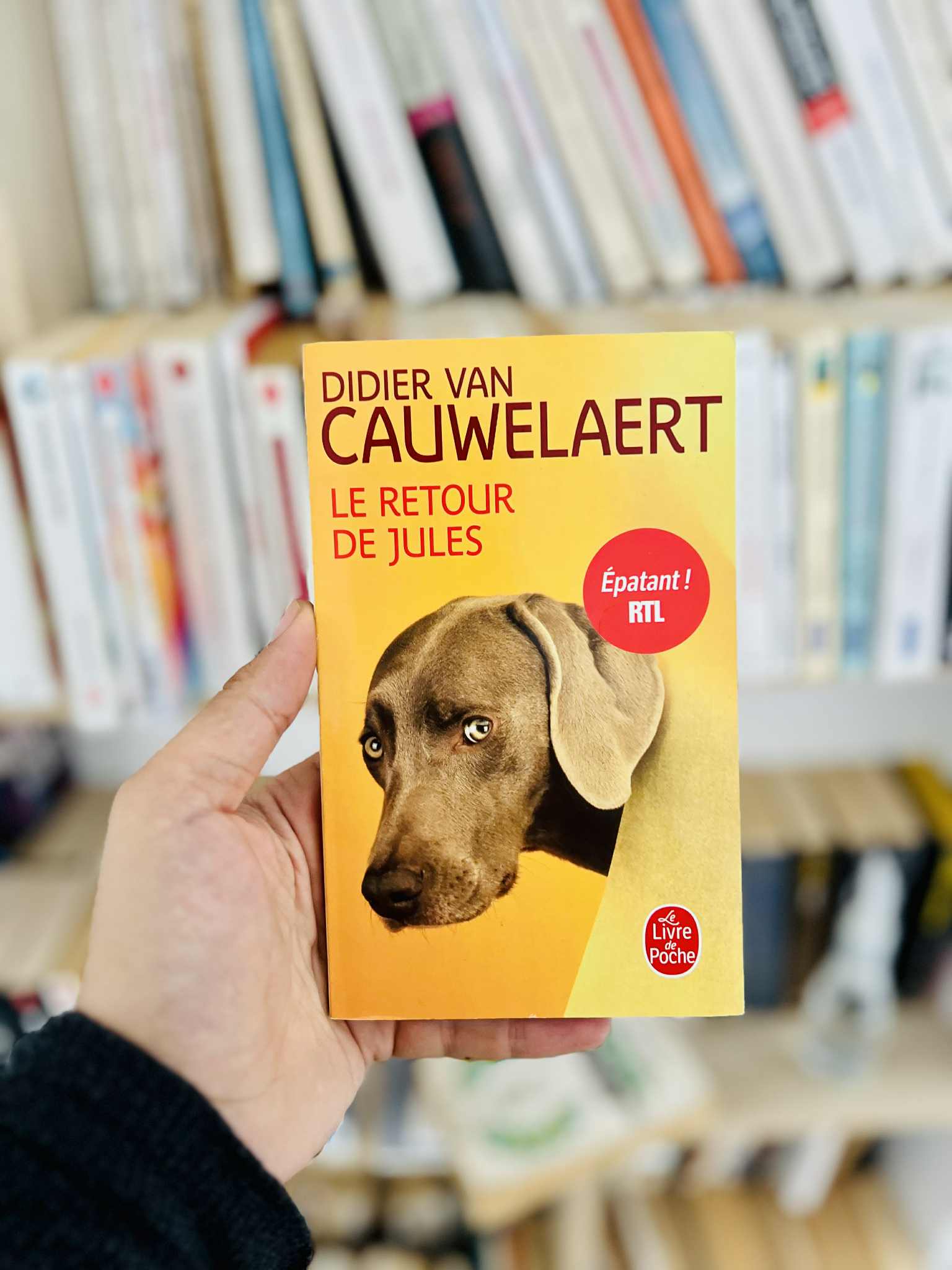 Le retour de Jules – Didier Van Cauwelaert