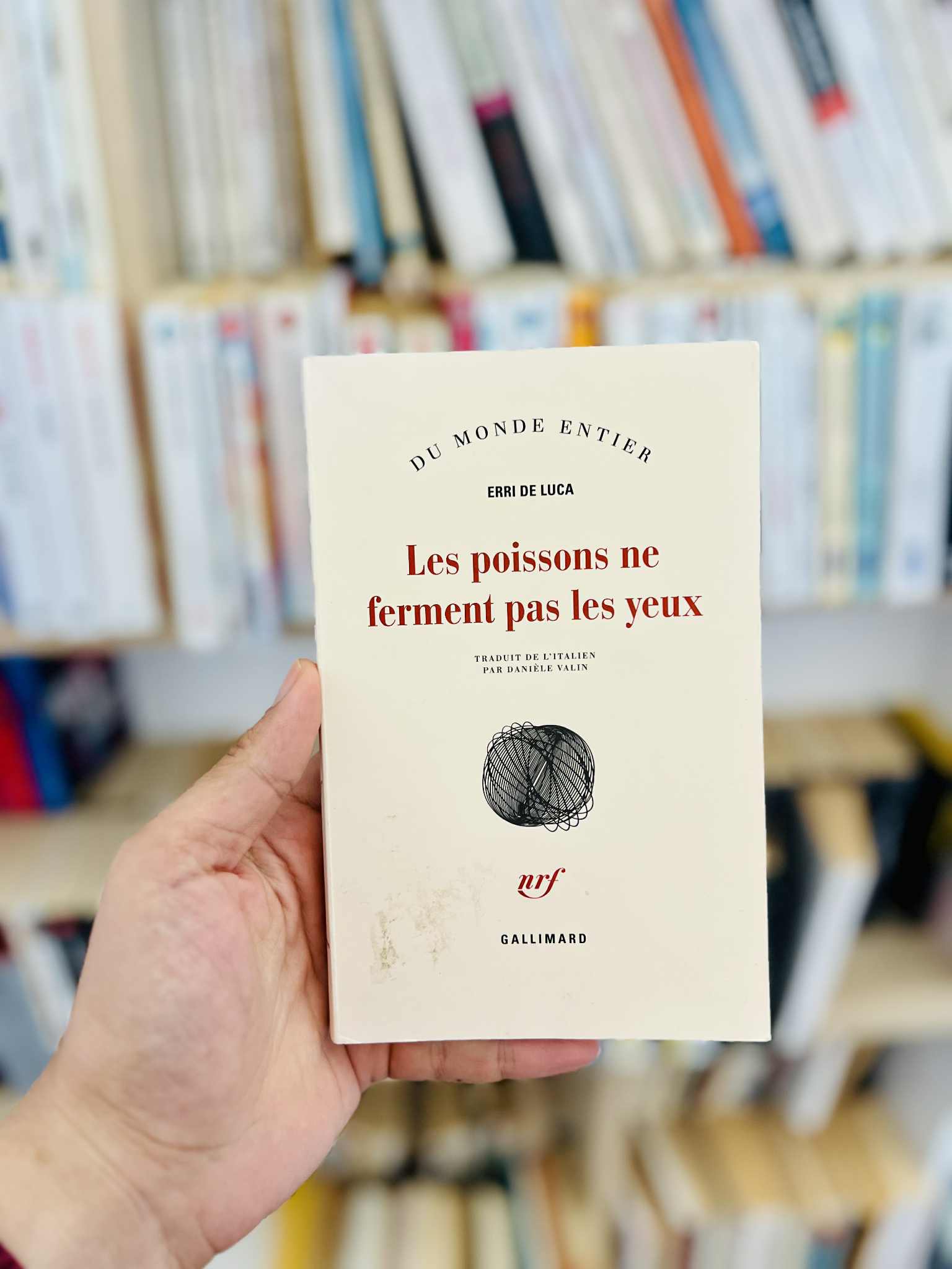 Les poissons ne ferment pas les yeux – Erri De Luca