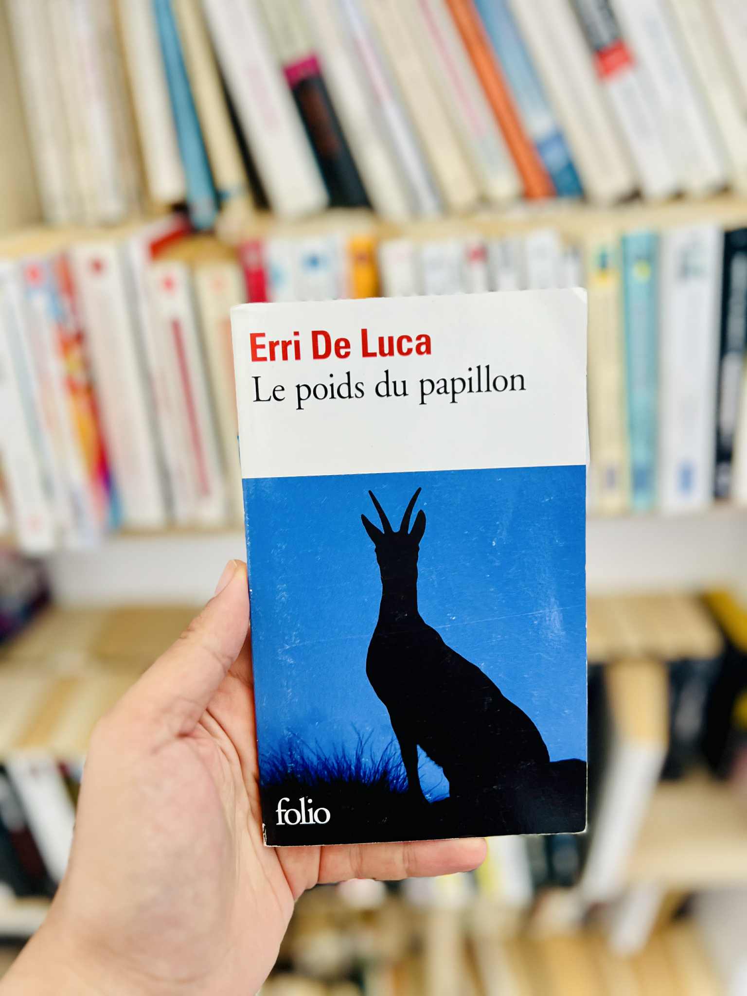 Le Poids du Papillon – Erri De Luca