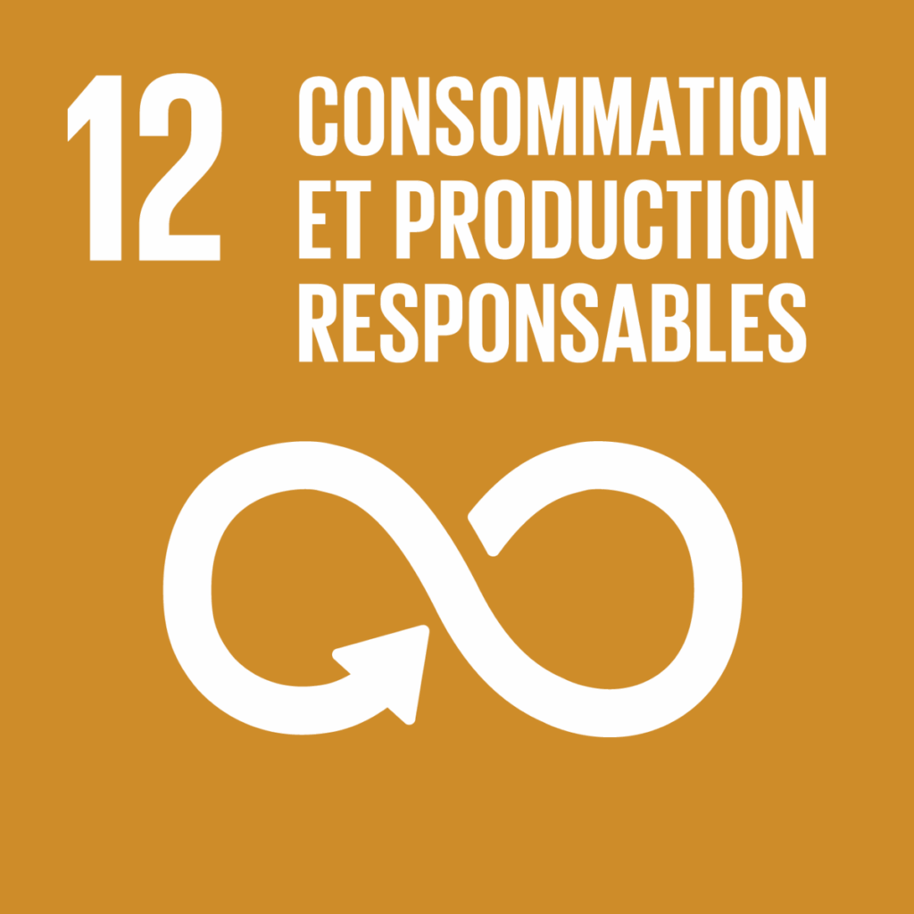 ODD 12 – Consommation et production responsables