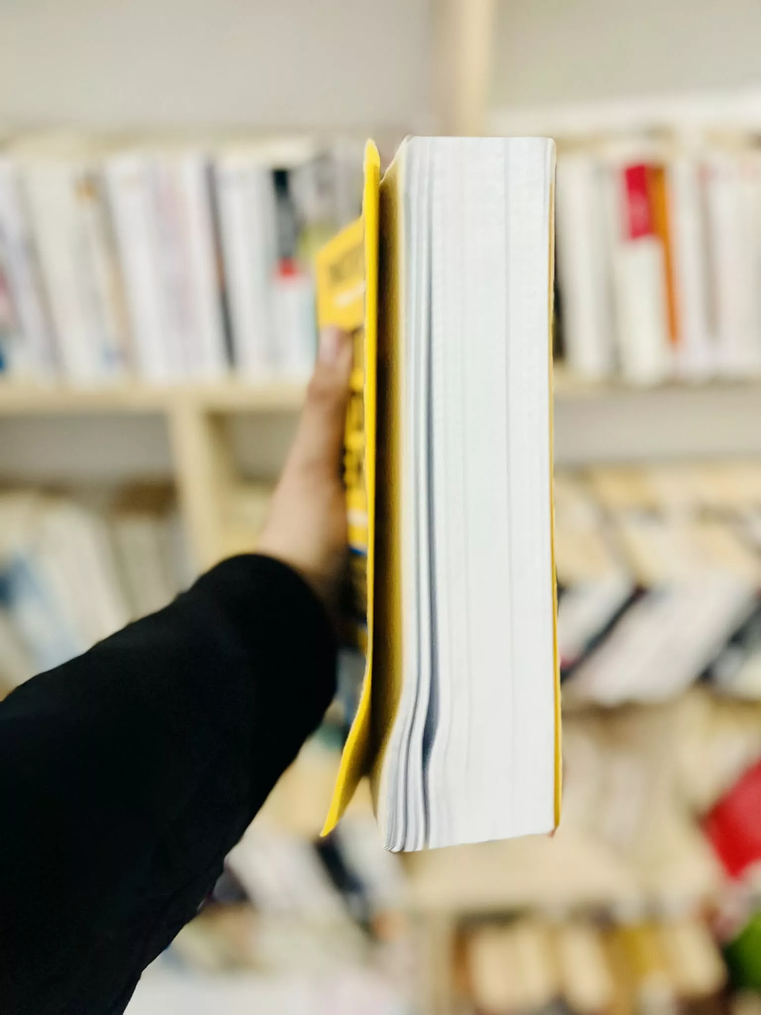 e925683b-0508-4467-9f1a-26ba9d26a765