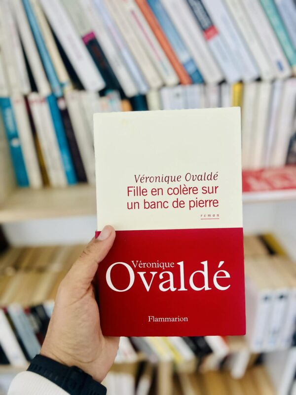 Fille en colère sur un banc de pierre – Véronique Ovaldé