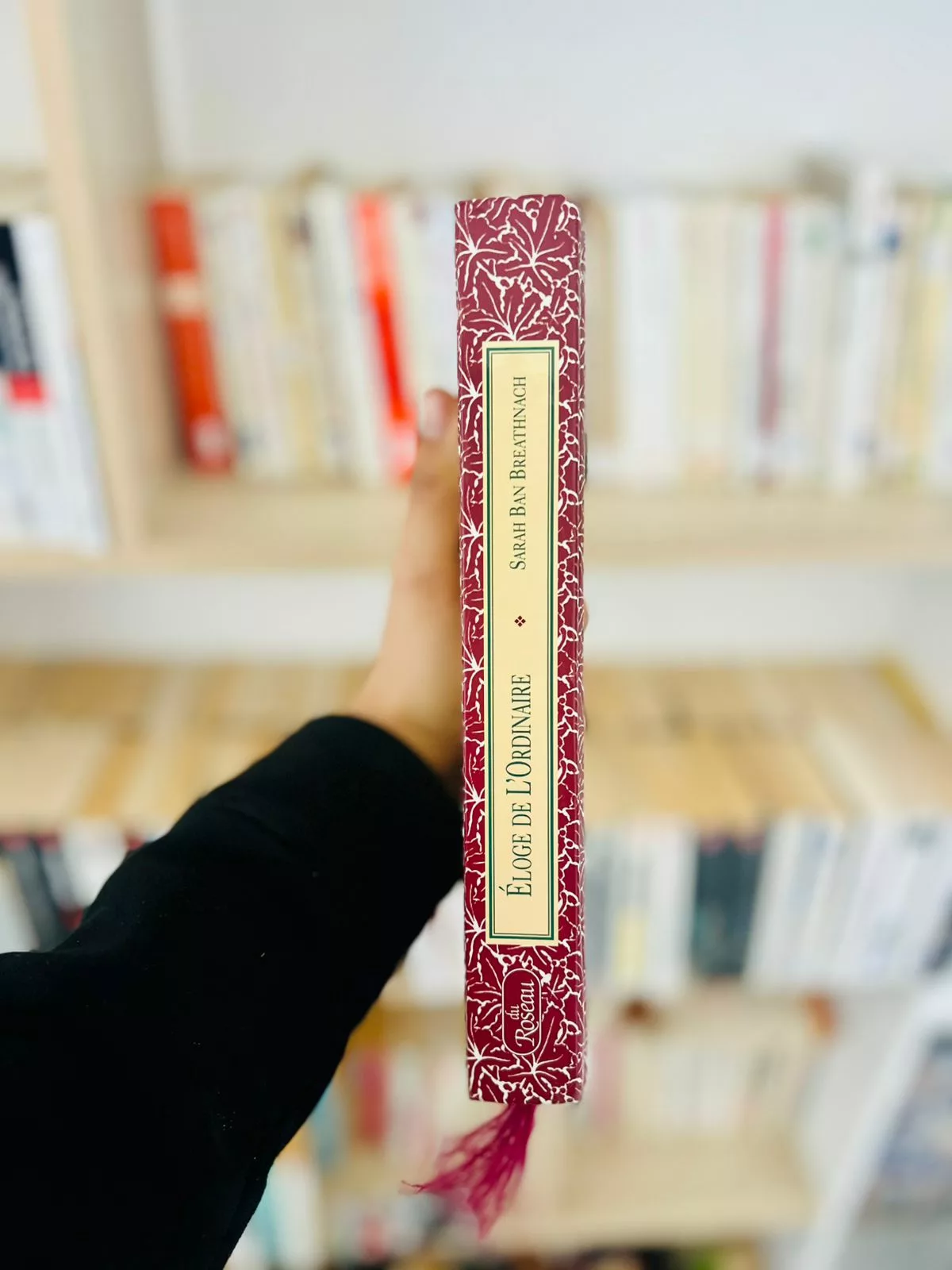 Éloge de l’ordinaire : Une année de splendeur dans la simplicité