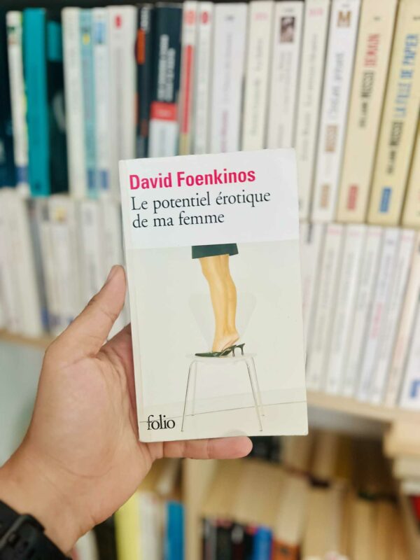 Le potentiel érotique de ma femme – David Foenkinos
