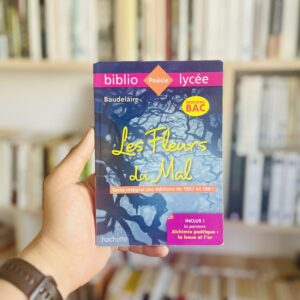 Les Fleurs du Mal - Charles Baudelaire