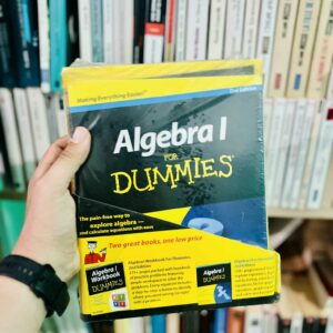 Algebra I for Dummies including workbook - Mary Jane Sterling 5 1 23