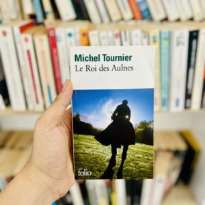 Le roi des Aulnes - Michel Tournier