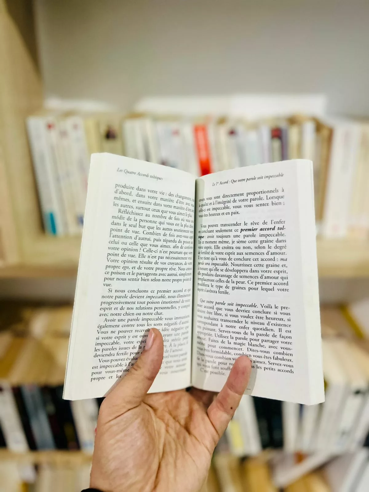 11f8c4f2-c344-44ed-80fa-94a9dddef980