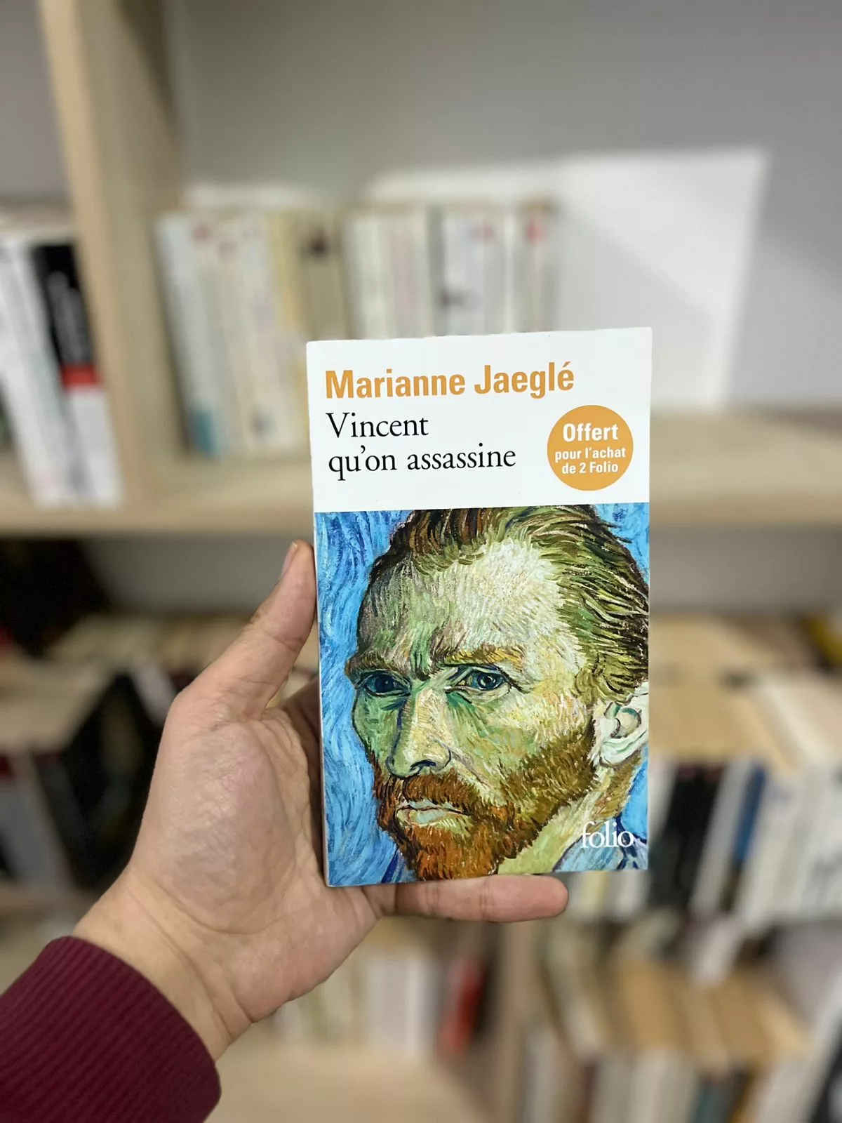 Vincent qu’on assassine de Marianne Jaeglé