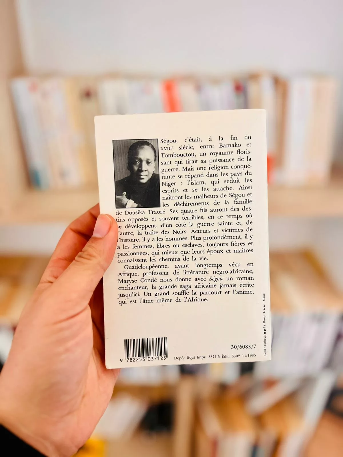 Ségou, tome 2 : La Terre en miettes