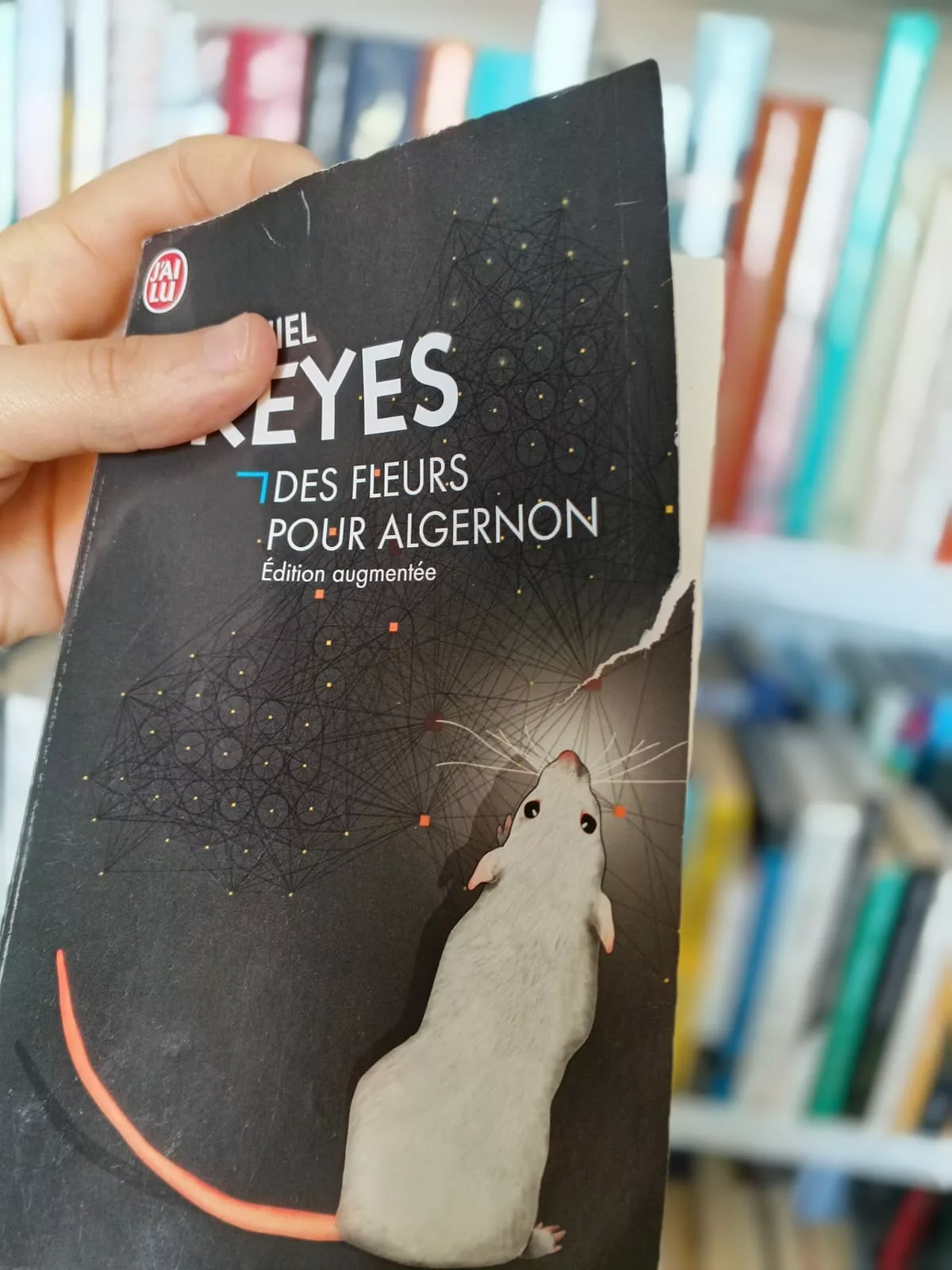 2b86d5ee-abec-4ff5-97d2-9d8f2903451e