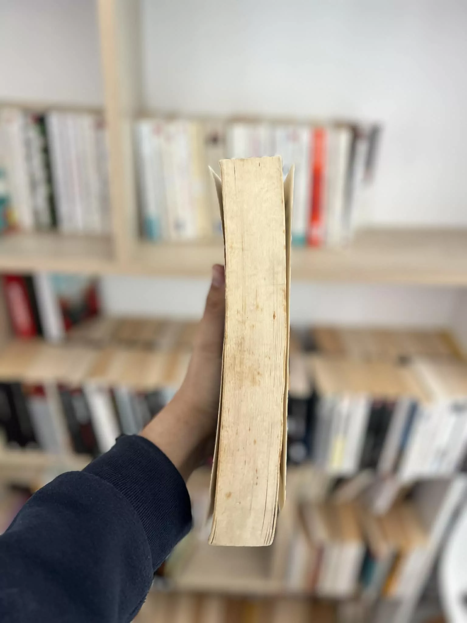 Non Delenda Carthago, Carthage ne sera pas détruite. Autopsie de la campagne antitunisienne de Mezri Haaddad