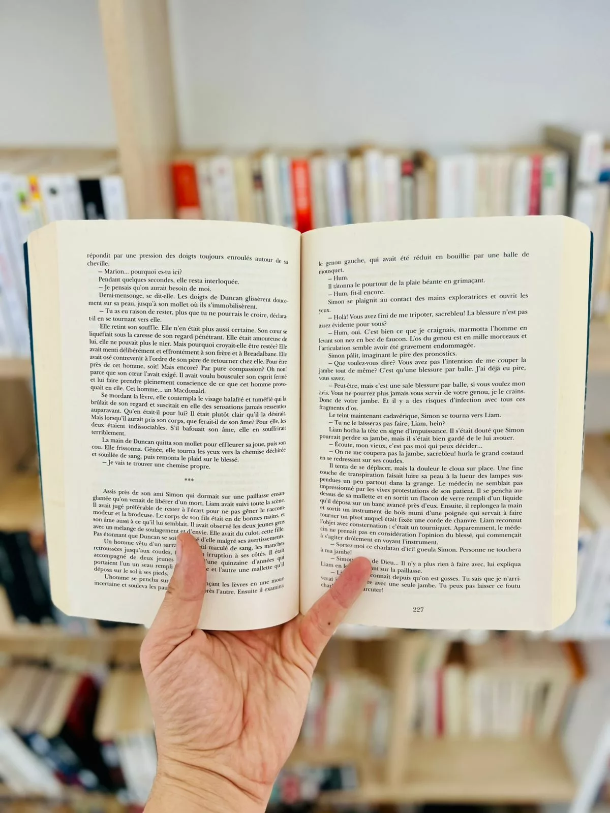 Coeur de Gaël, tome 1 : La Vallée des larmes