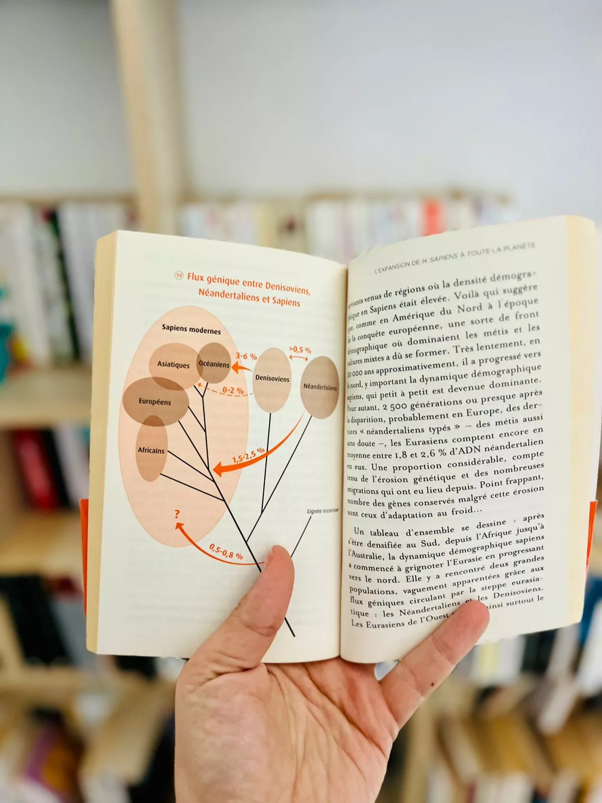 36e5bafc-210e-4972-9908-38a5750d045f