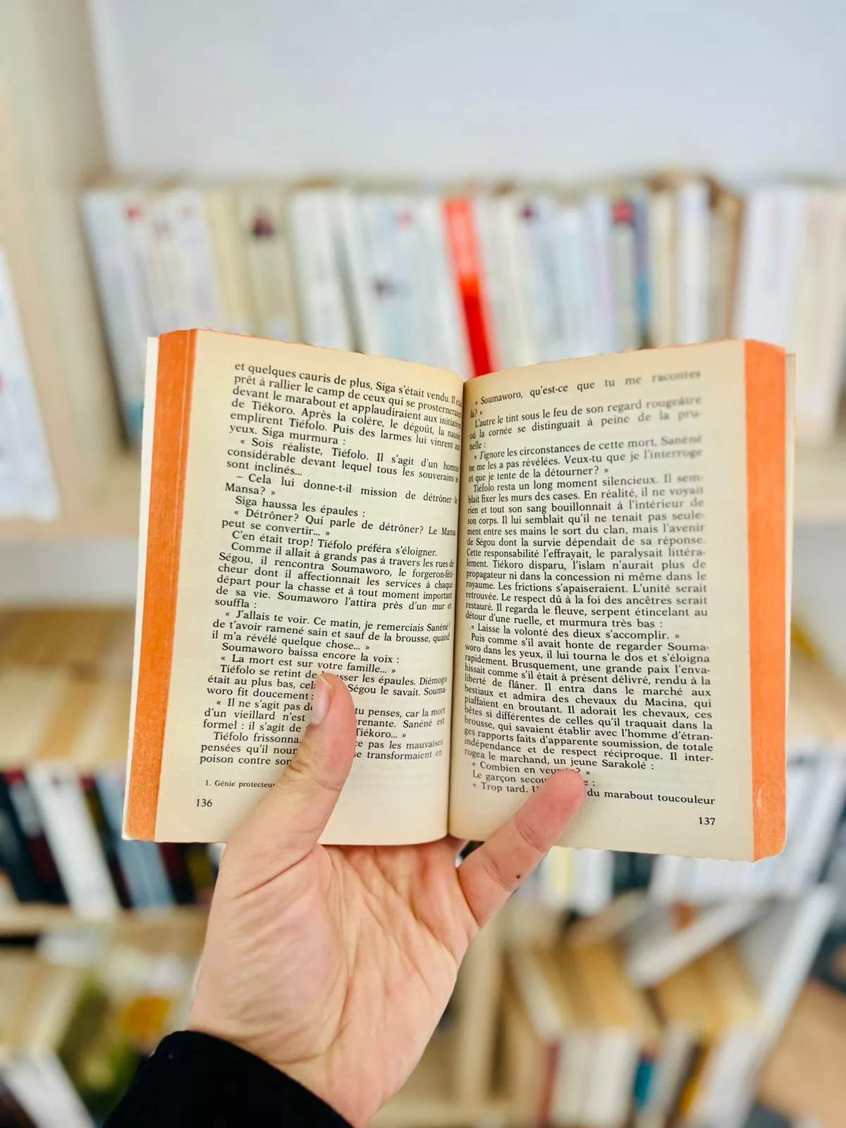 Ségou, tome 2 : La Terre en miettes