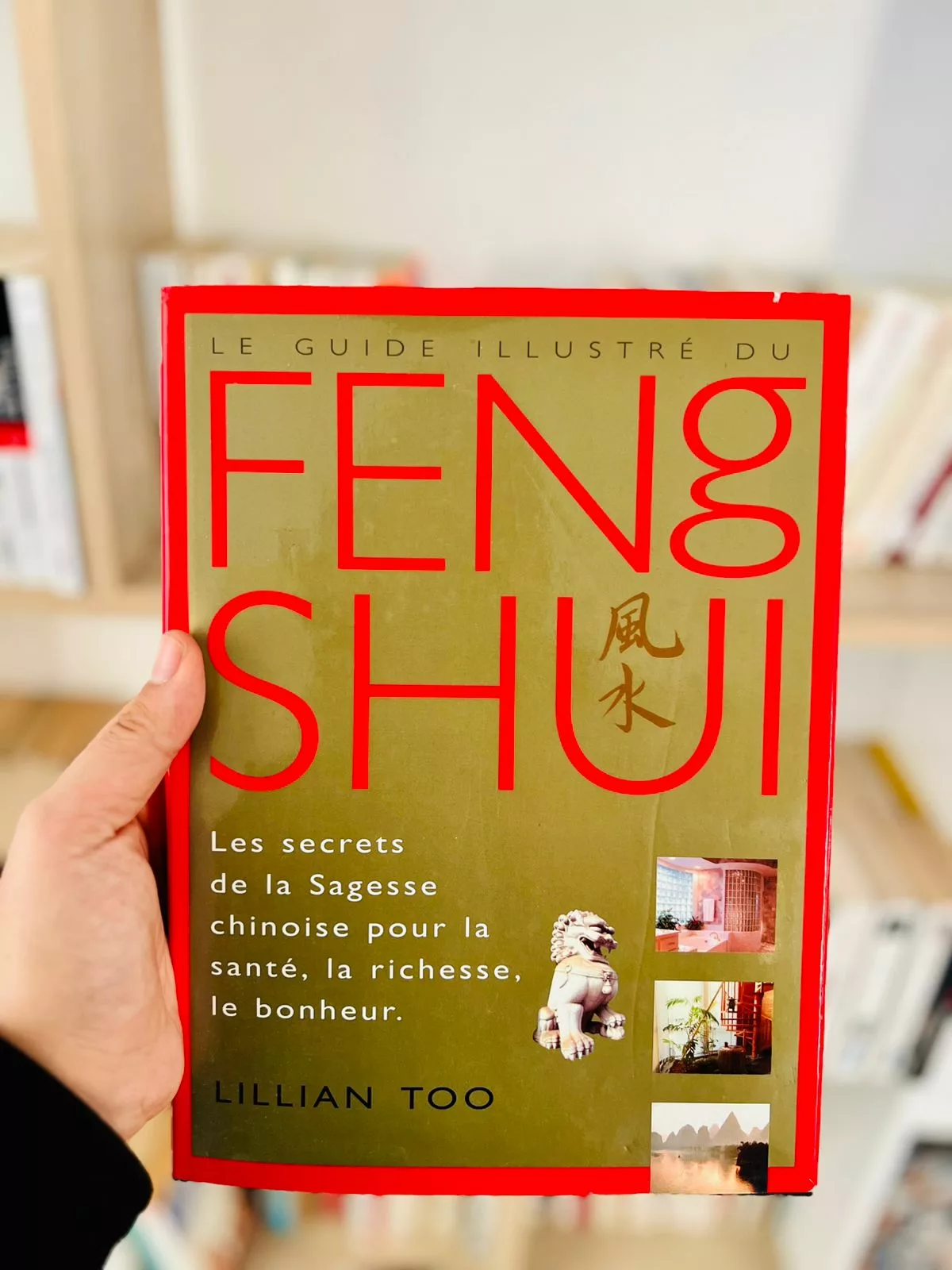 Le Guide illustré du Feng shui