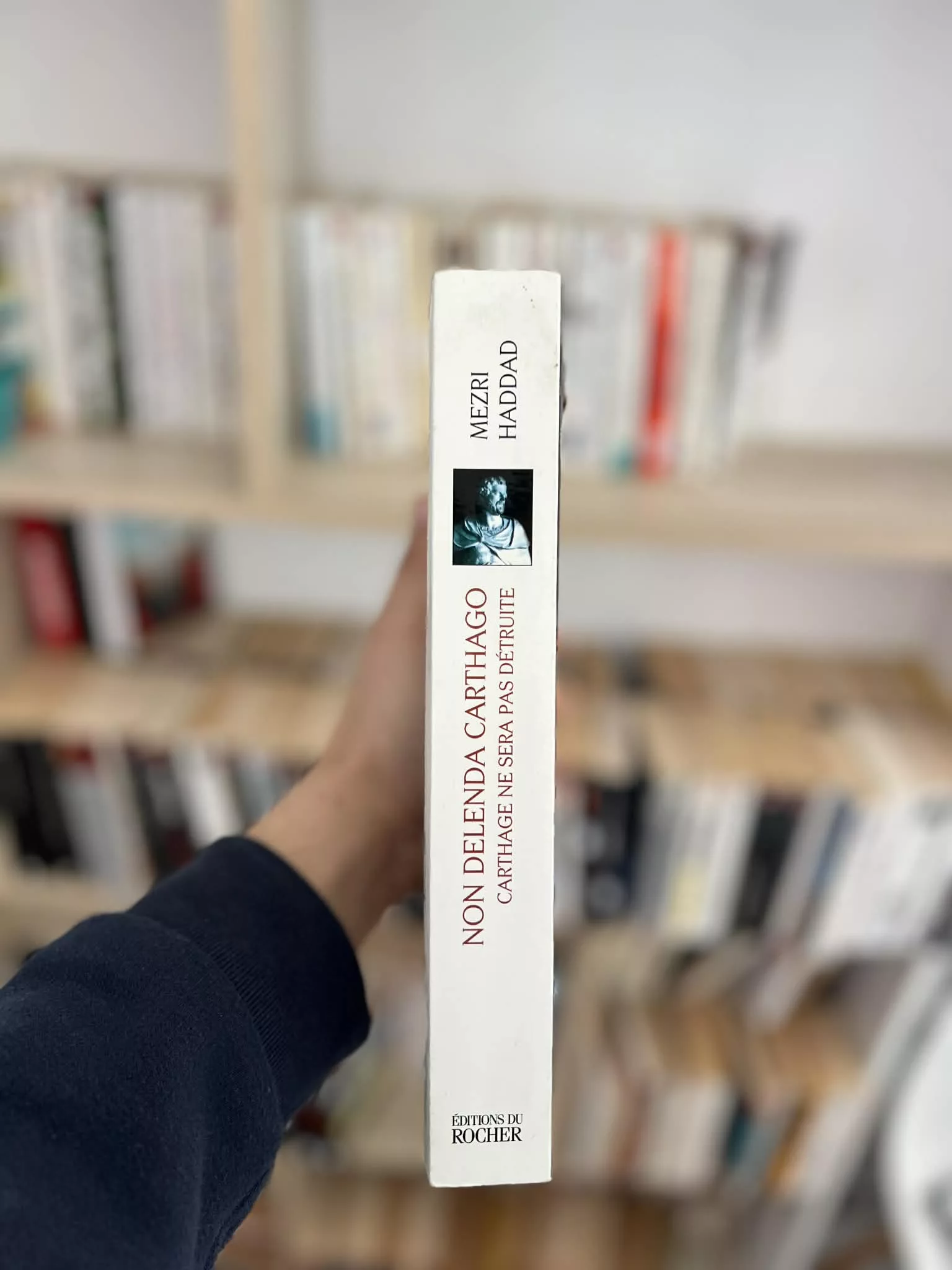 Non Delenda Carthago, Carthage ne sera pas détruite. Autopsie de la campagne antitunisienne de Mezri Haaddad