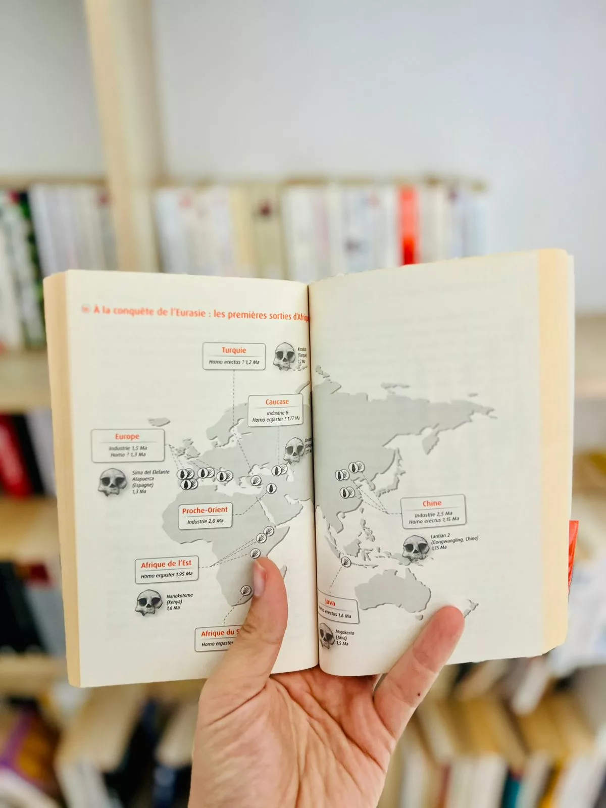 44247cce-2211-4859-94a4-2d5b5b872acf