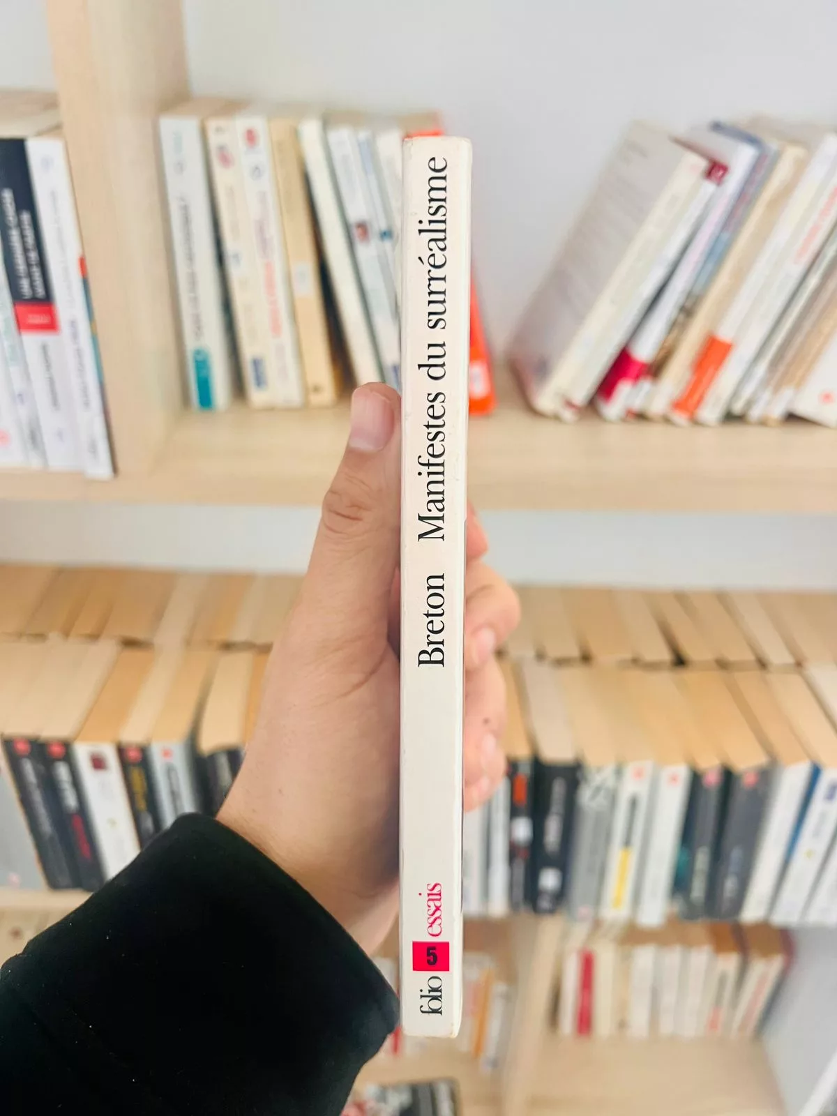 Manifestes du surréalisme