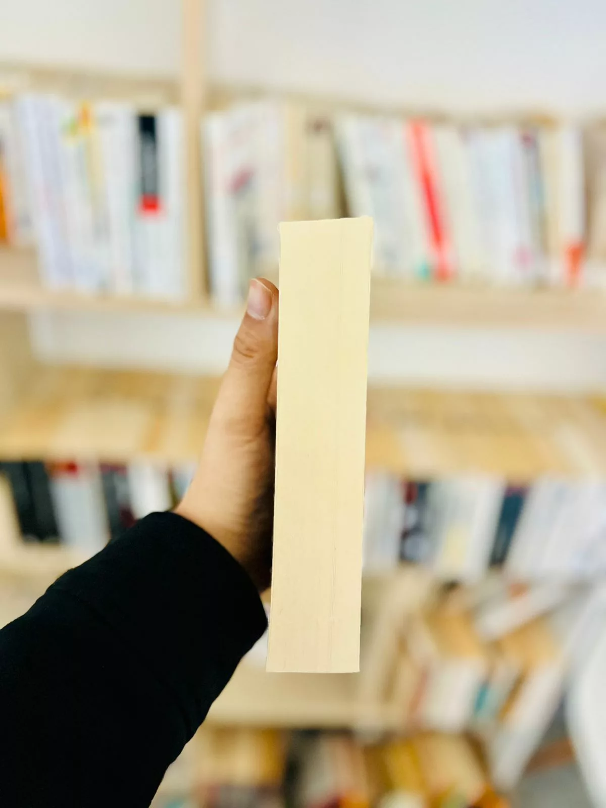 Histoire d’un Allemand : Souvenirs 1914-1933