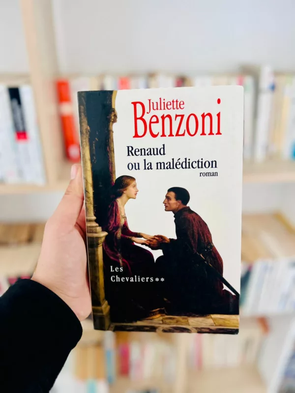 Les Chevaliers, tome 2 : Renaud ou la malédiction