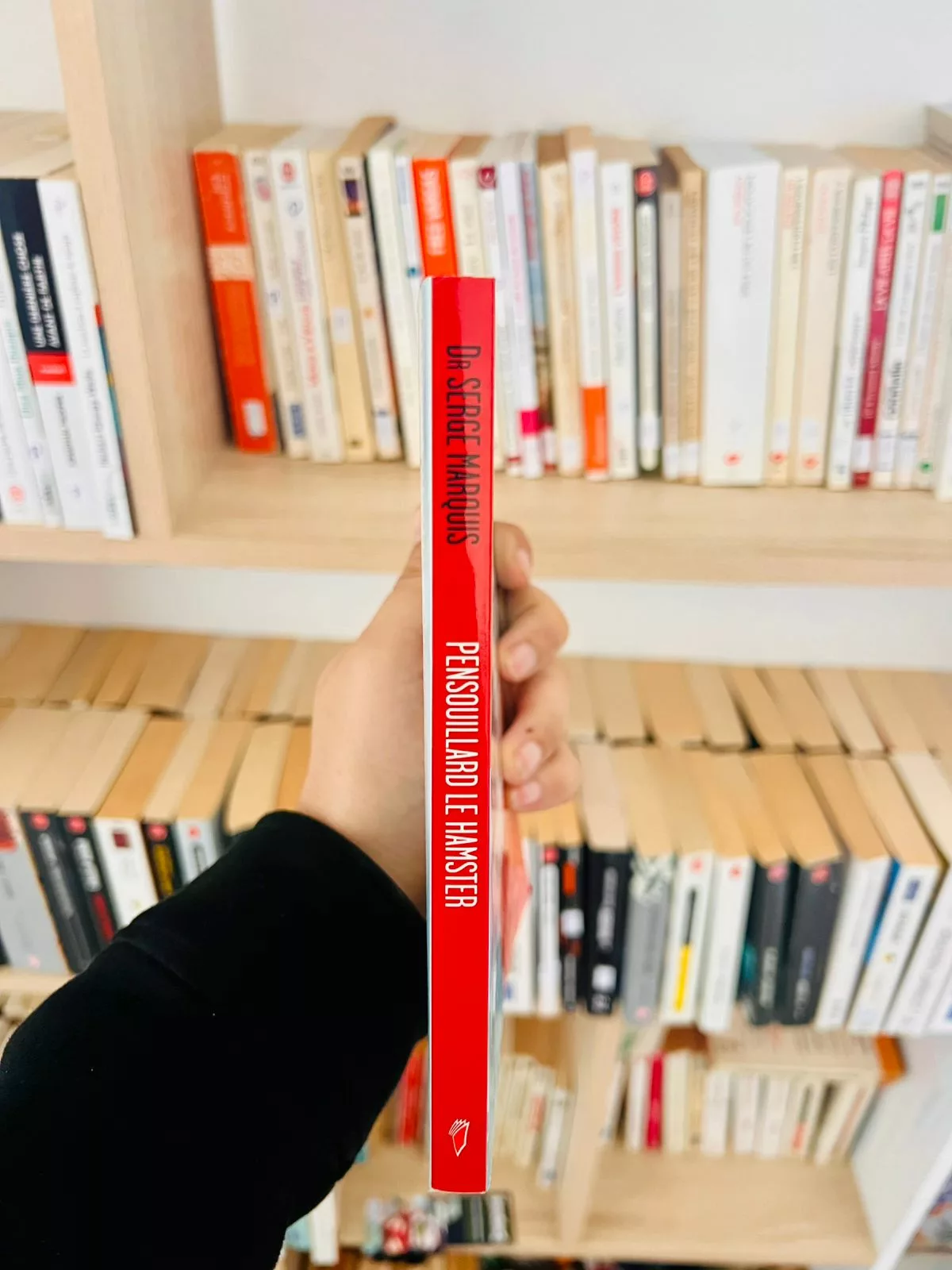 Pensouillard le hamster : Petit traité de décroissance personnelle