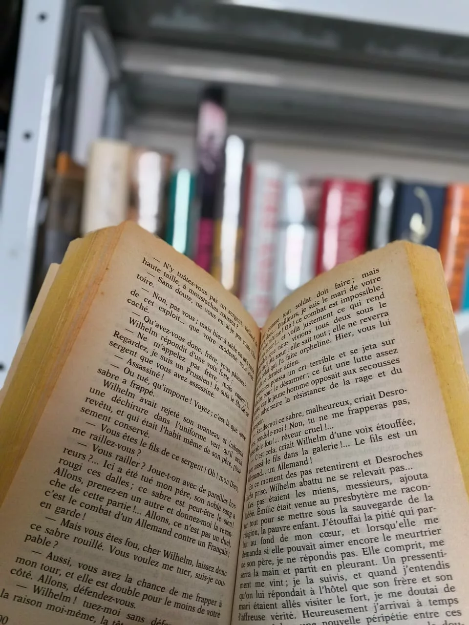 5e49b596-83ed-4a70-869a-e12d9da54a98