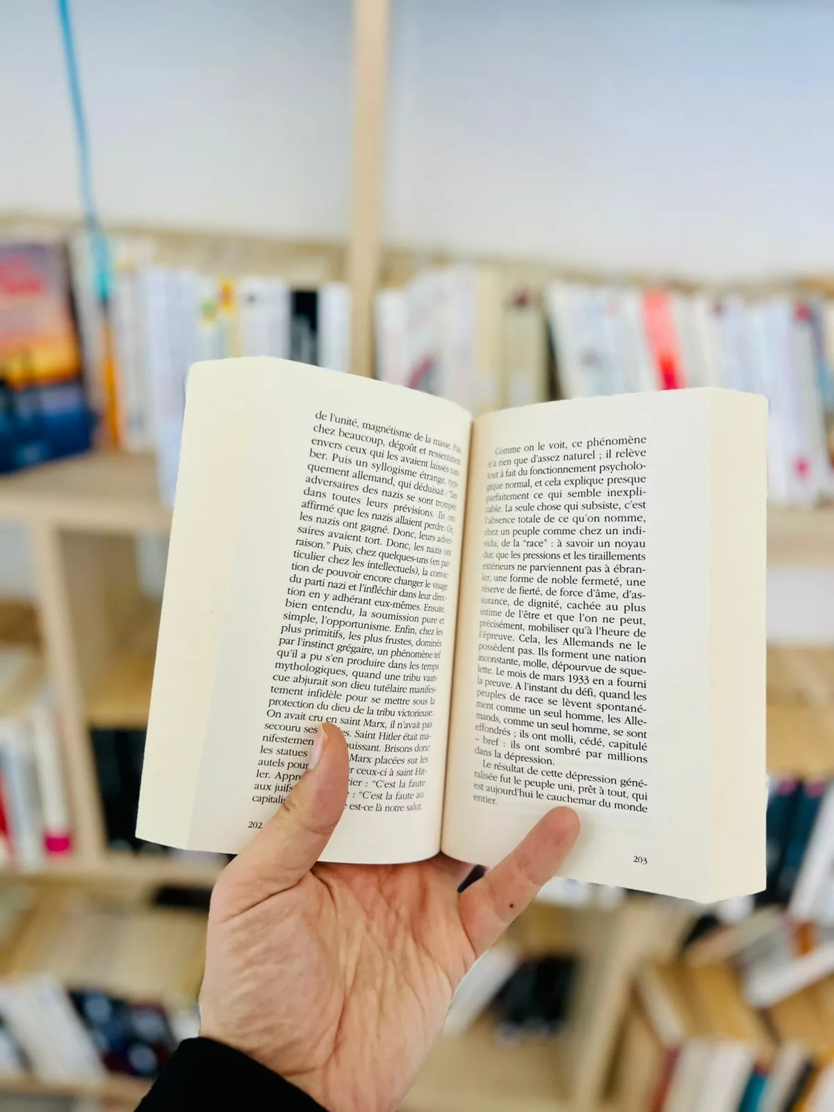 Histoire d’un Allemand : Souvenirs 1914-1933