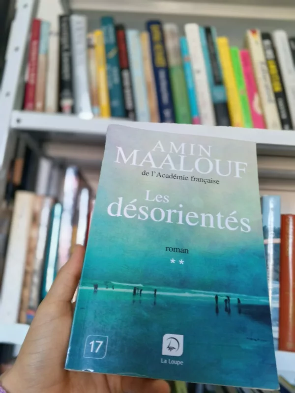 Les desorientés: Tome 2