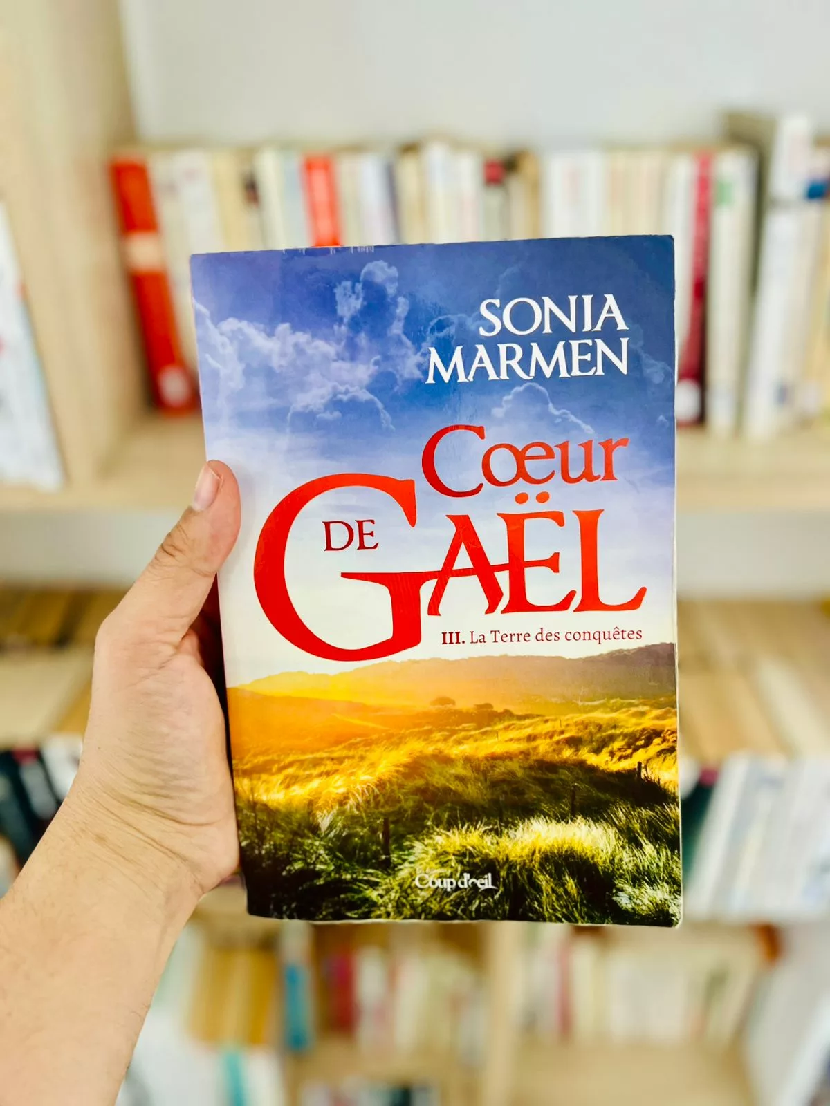 Coeur de Gaël, tome 3 : La Terre des conquêtes