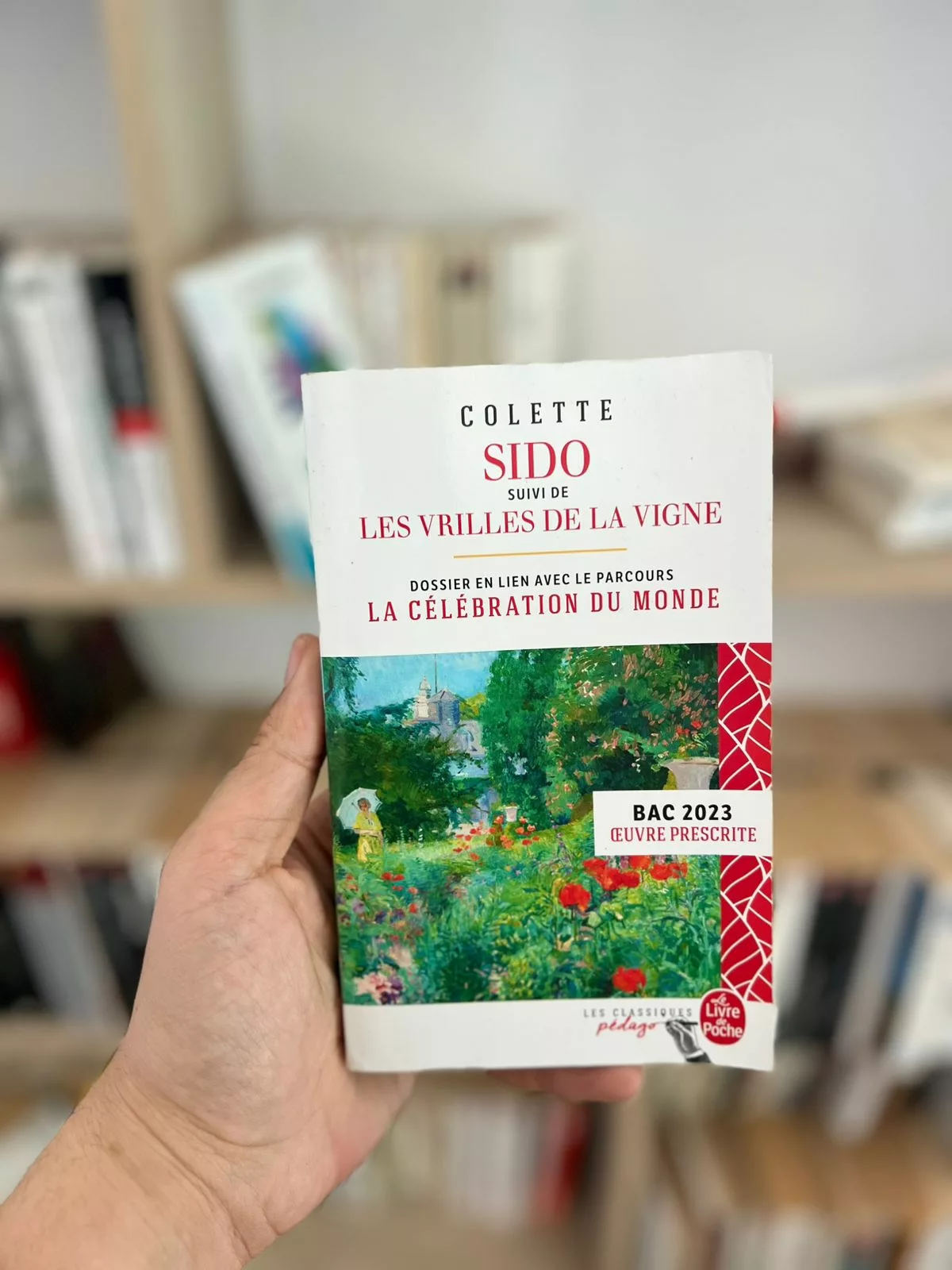 Sido: les vrilles de la vigne de Sidonie-Gabrielle Colette