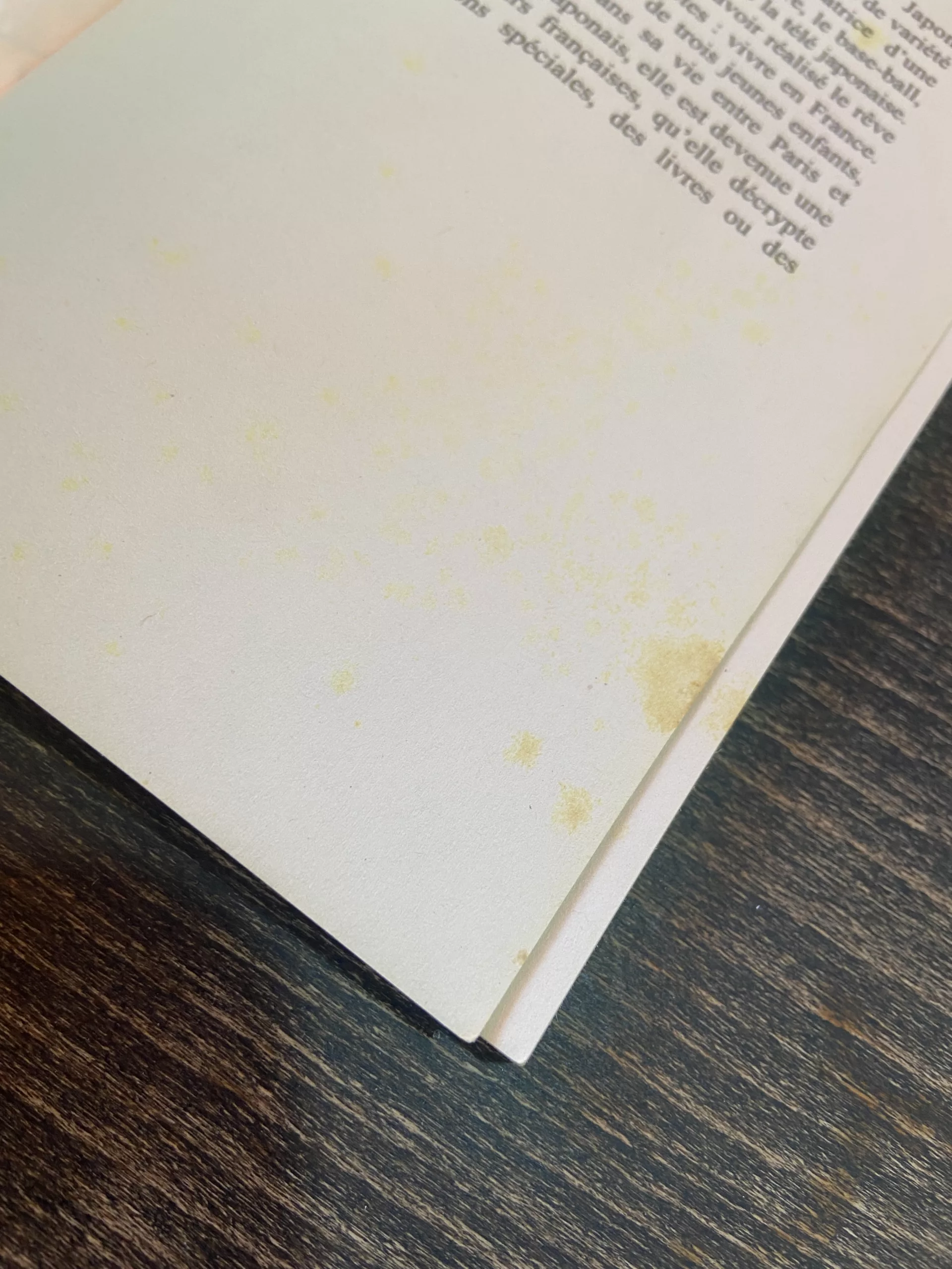 8C6F77CD-4779-49AF-85D7-4D36A07431FB