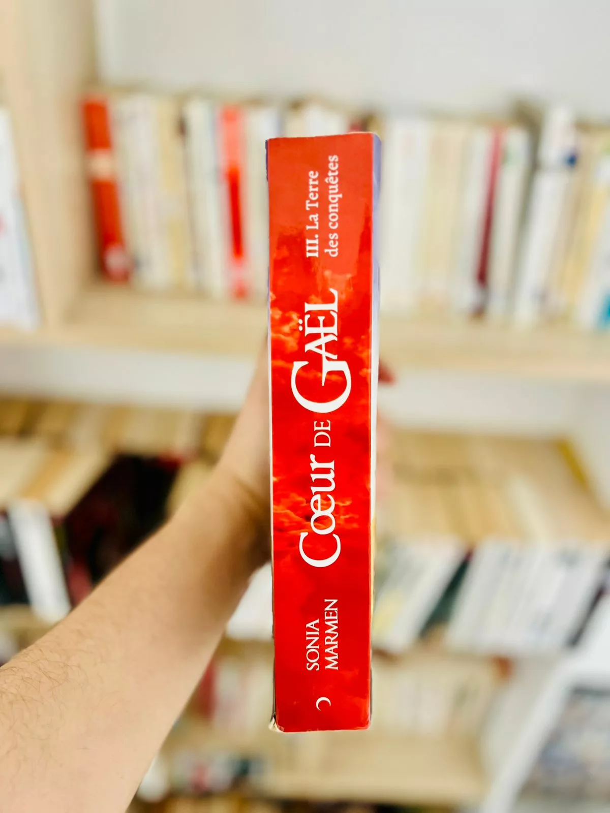 Coeur de Gaël, tome 3 : La Terre des conquêtes