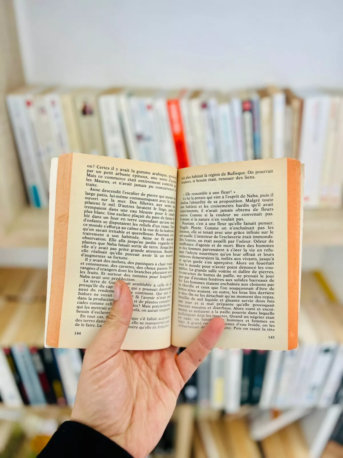 Ségou, tome 1 : Les murailles de terre