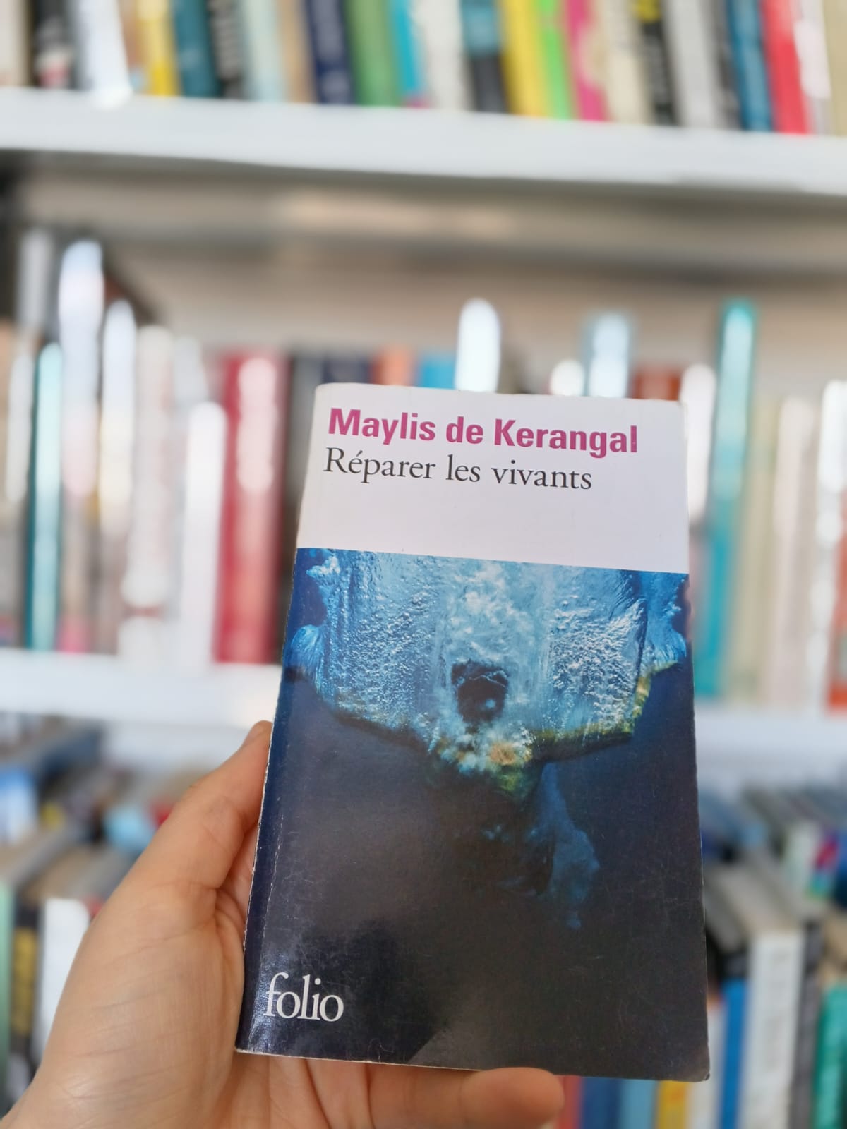 Réparer les vivants de Maylis de Kerangal