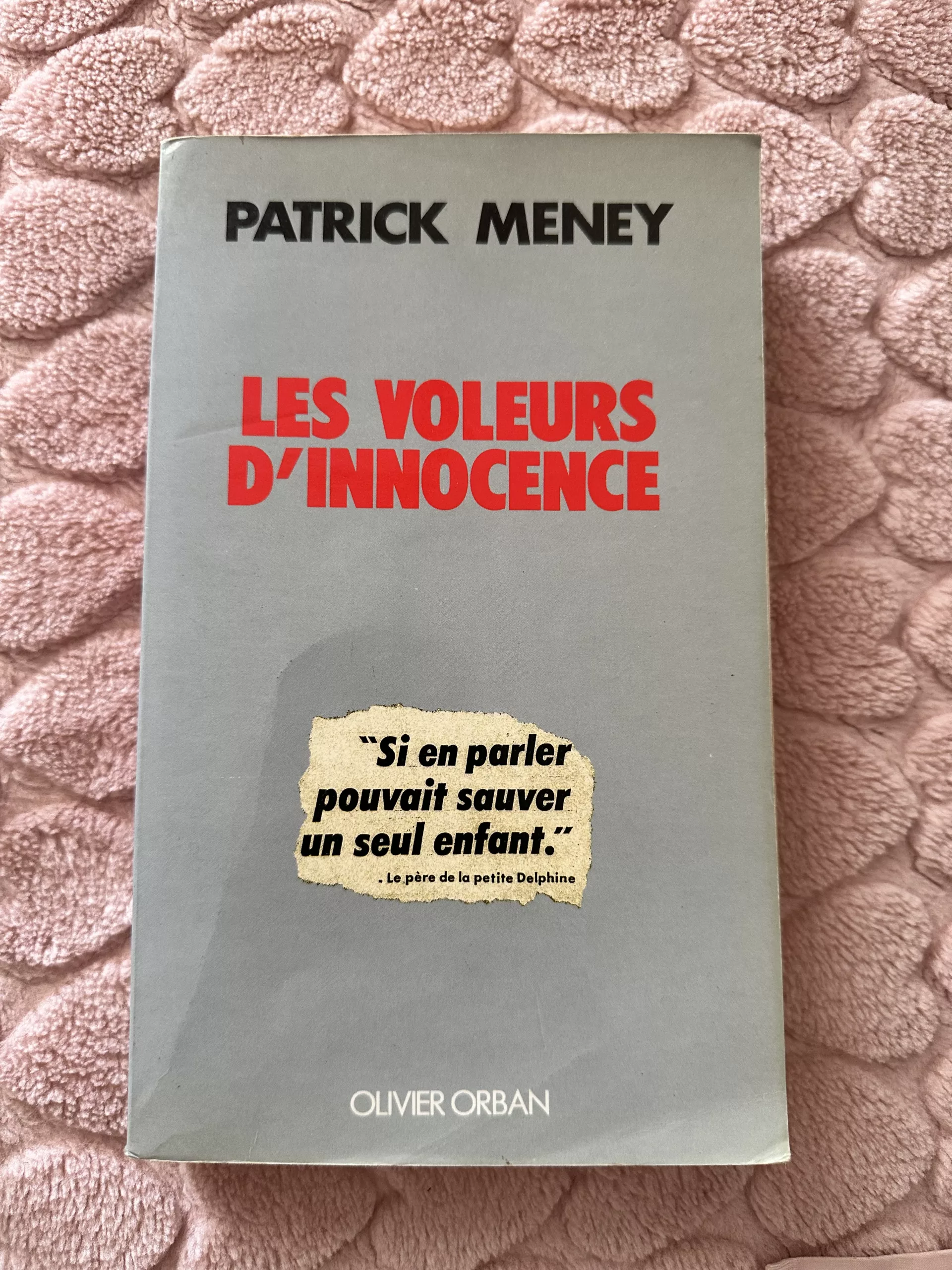 Les voleurs d’innocence – Patrick Meney