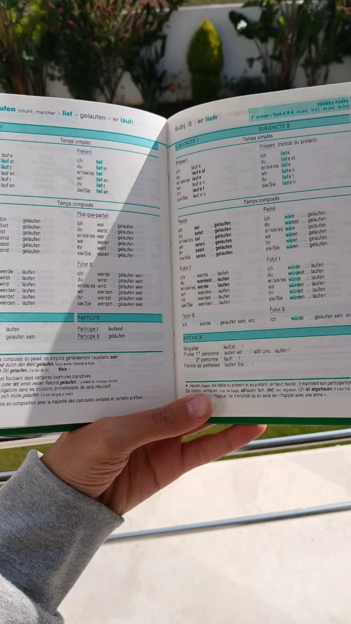 WhatsApp Image 2025-12-12 at 12.35.04