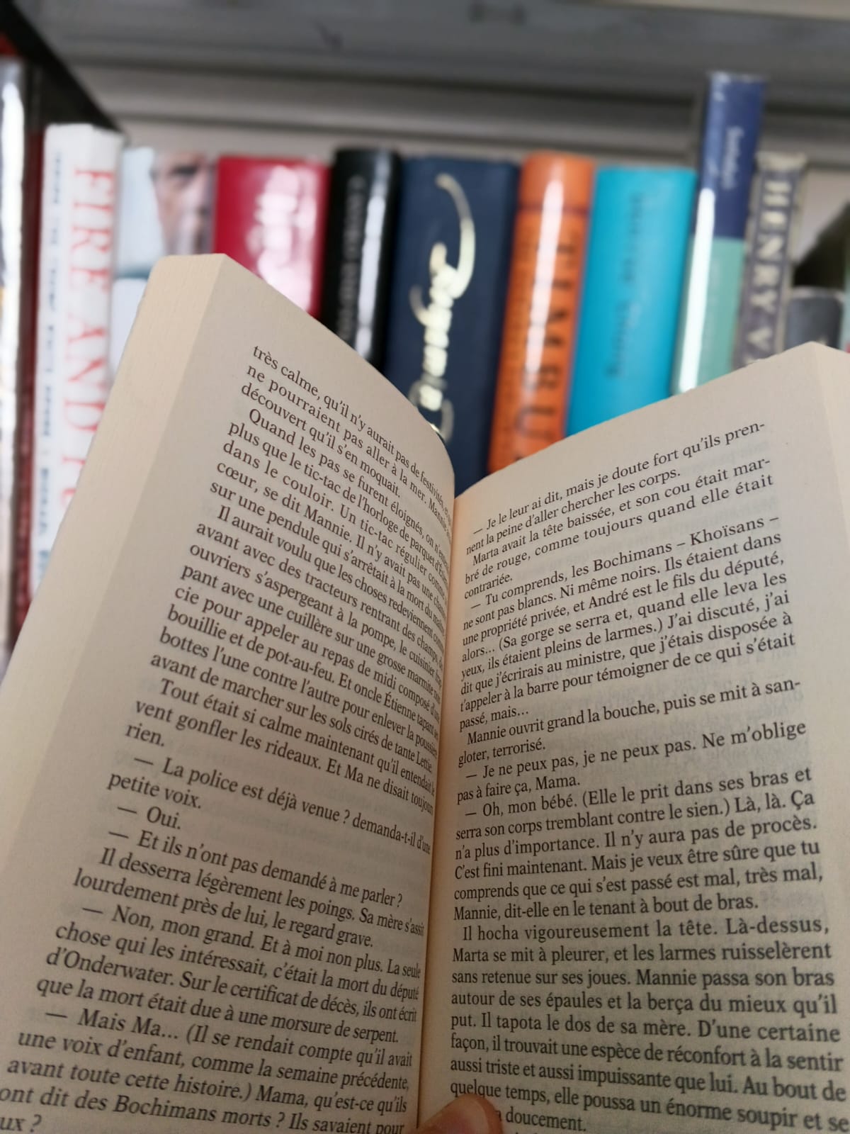 a0956a76-fec6-432d-9637-2ad307251e8b