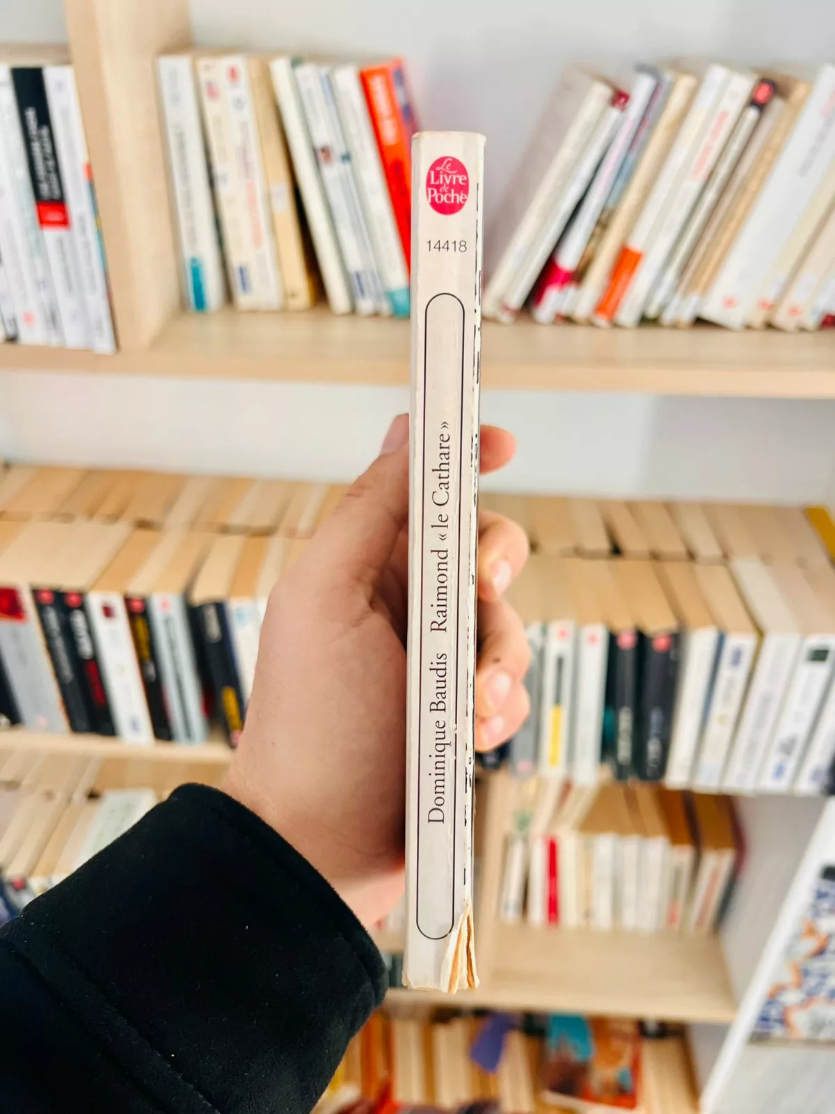 Raimond ”le Cathare”