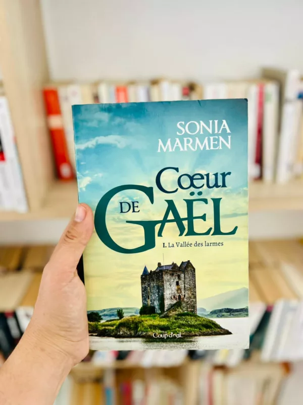Coeur de Gaël, tome 1 : La Vallée des larmes