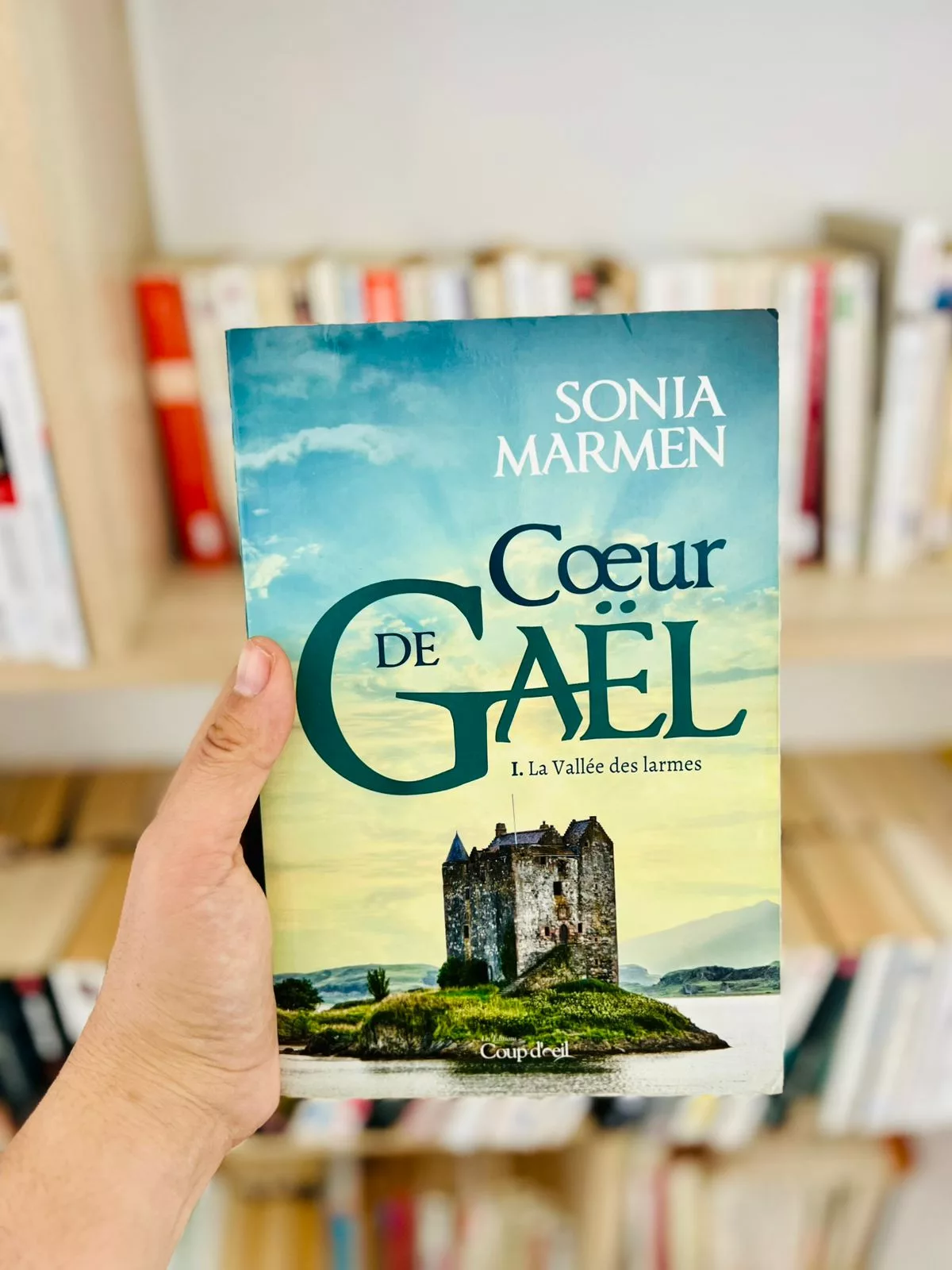 Coeur de Gaël, tome 1 : La Vallée des larmes