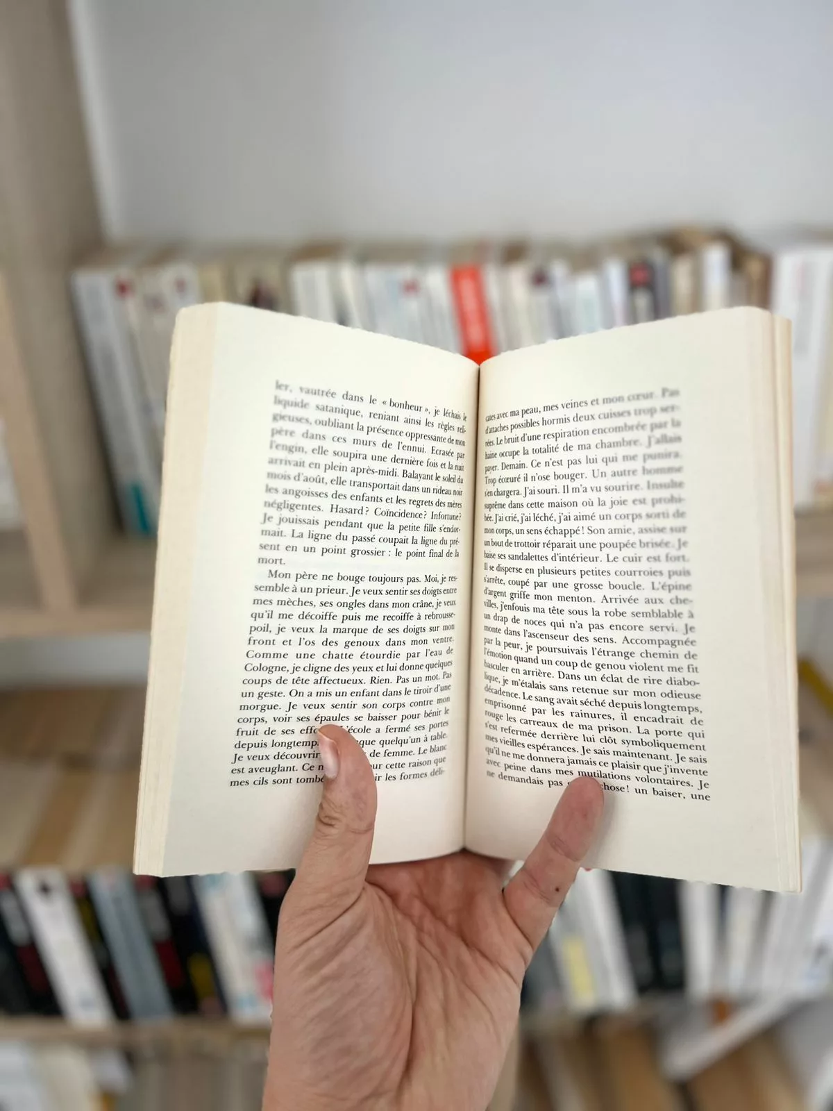 La Voyeuse interdite