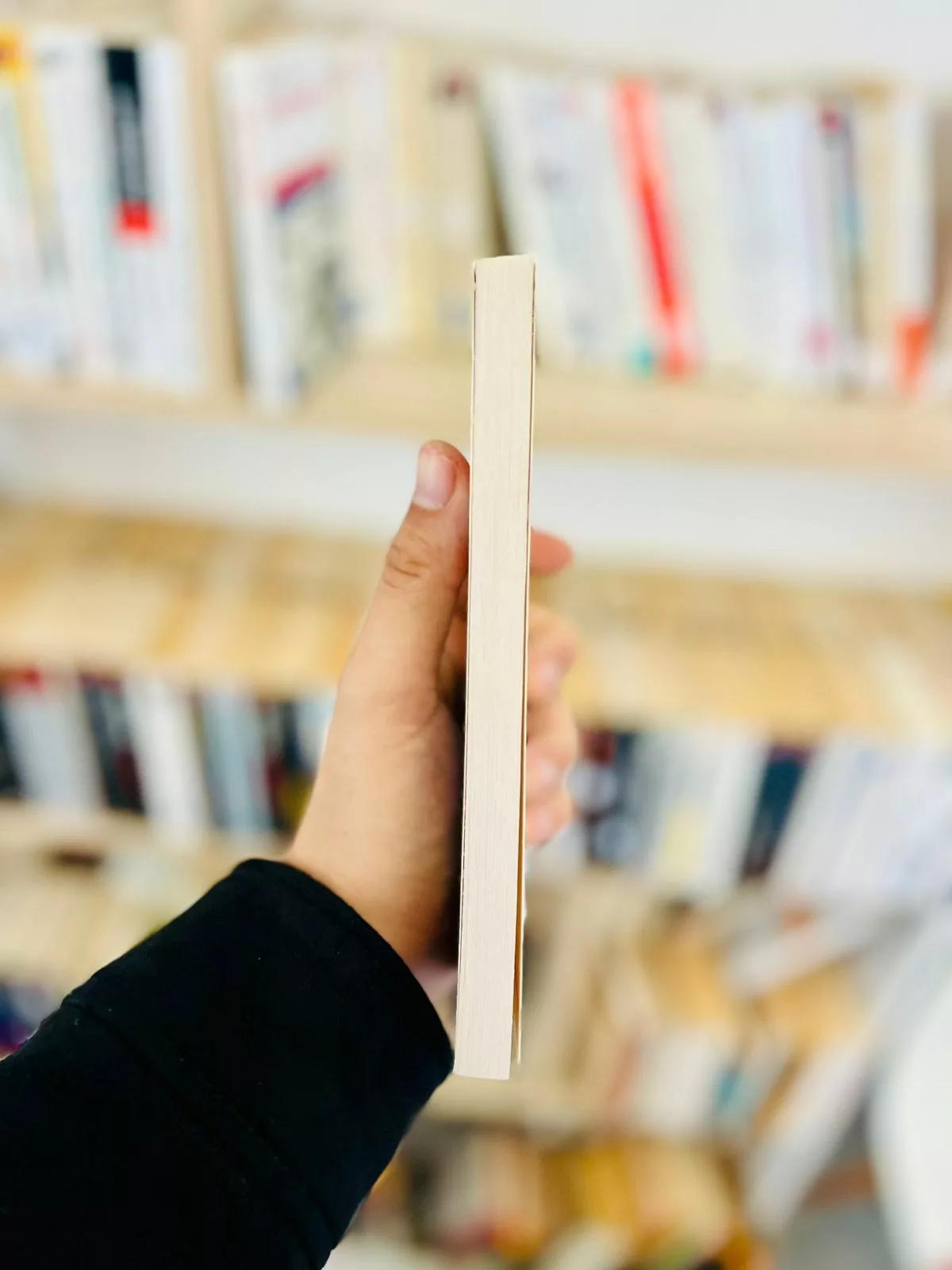 L’écrivain de la famille