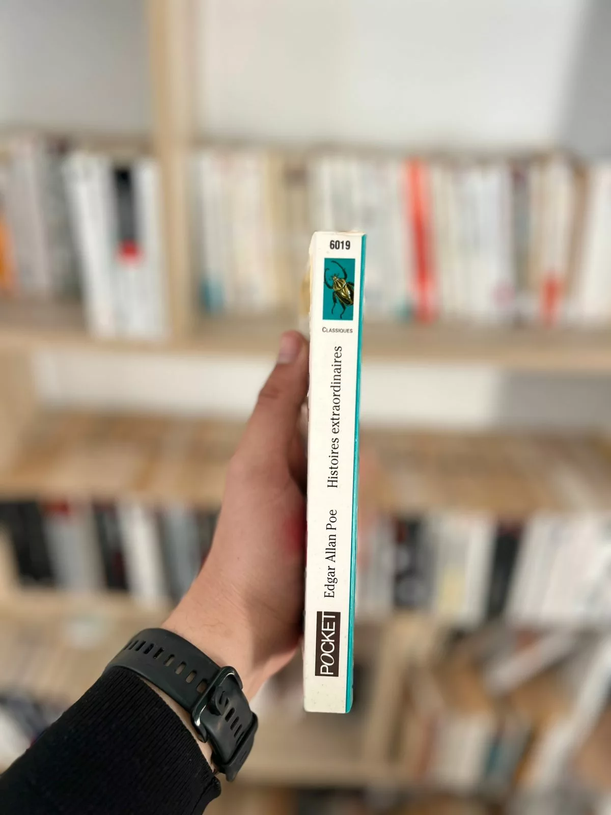 Nouvelles histoires extraordinaires